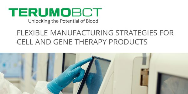 Flexible manufacturing strategies for cell and gene therapy products