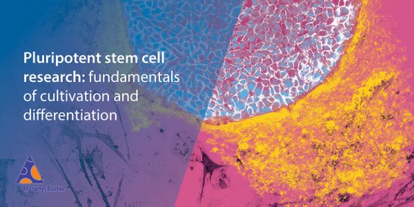 Pluripotent stem cell research: fundamentals of cultivation and differentiation
