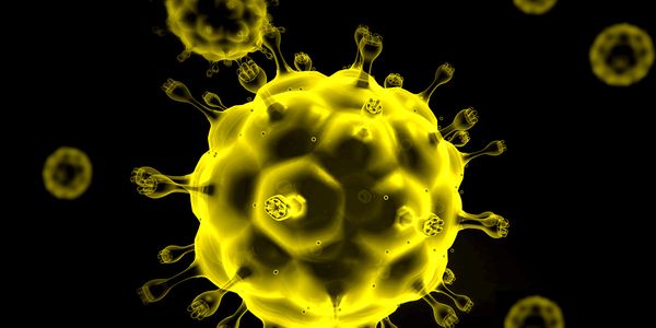 Robust and Swift: Efficient One-Step Clarification Methods for AAV & LV Harvests