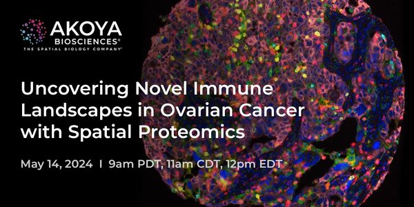 Uncovering Novel Immune Landscapes in Ovarian Cancer with Spatial Proteomics