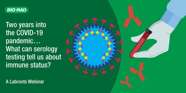 Two years into the COVID-19 pandemic... What can serology testing tell us about immune status?