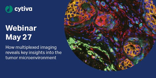 How multiplexed imaging reveals key insights into the tumor microenvironment to inform treatment and improve outcomes