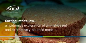 Cutting into tallow - a lipidomics exploration of animal-based and alternatively-sourced meat