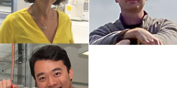 WEBINAR: Colony picking in a fully automated DNA assembly workflow