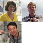 WEBINAR: Colony picking in a fully automated DNA assembly workflow