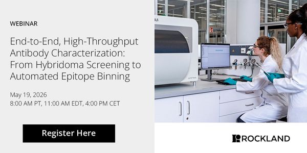 End-to-End, High-Throughput Antibody Characterization: From Hybridoma Screening to Automated Epitope Binning
