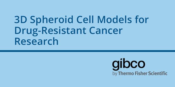 3D Spheroid Cell Models for Drug-Resistant Cancer Research