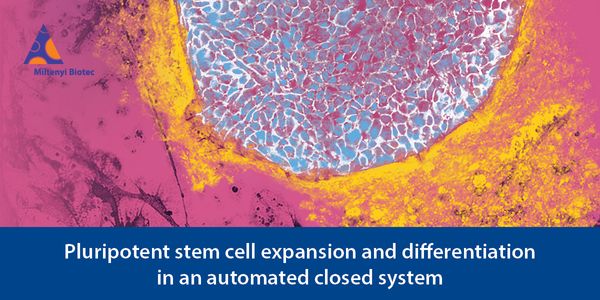 CliniMACS Prodigy® Adherent Cell Culture System: Pluripotent stem cell expansion & differentiation in an automated, closed system