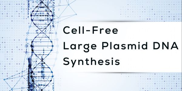 Cell-Free Tools to Revolutionize the DNA Construction Paradigm