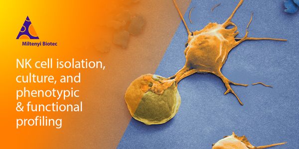 Advanced NK cell research solutions