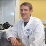 Large scale purification of RNA and RNA-based Nanoparticles by Preparative Ultracentrifugation