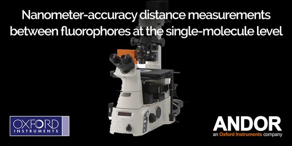 Nanometer-accuracy distance measurements between fluorophores at the single-molecule level