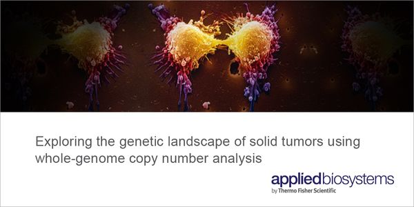 Exploring the genetic landscape of solid tumors using whole-genome copy number analysis