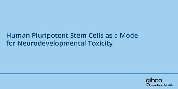 Human Pluripotent Stem Cells as a Model for Neurodevelopmental Toxicity