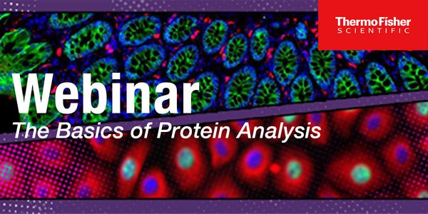 The Basics of Protein Analysis   Topic 1: Fundamental of antibodies for applied research Topic 2: Practical considerations for quantitation in western blotting