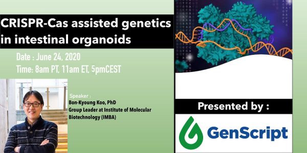 CRISPR-Cas assisted genetics in intestinal organoids