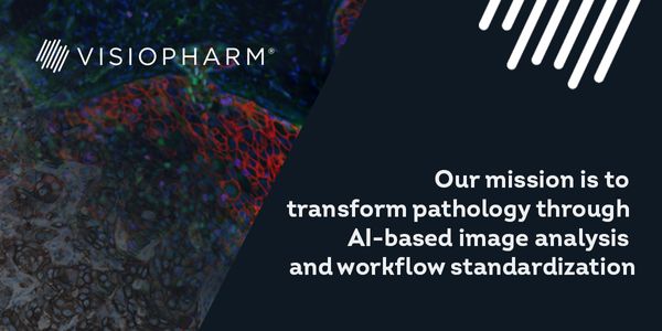 Oncotopix Discovery: deep learning as a standard analysis method for digital pathology images