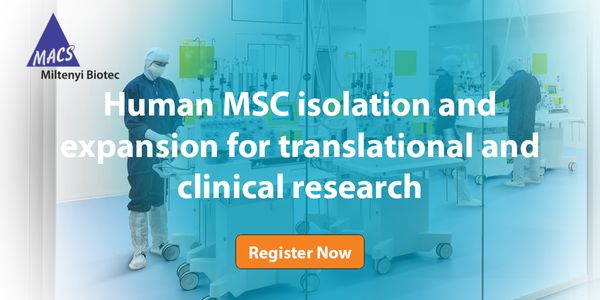 Isolation and expansion of mesenchymal stromal or stem cells (MSCs) for translational and clinical research