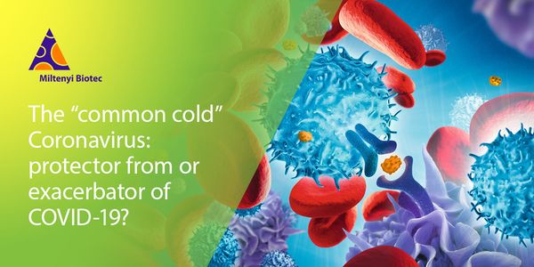Antigen-specific CD4 T cell responses in humans: SARS-CoV-2 and beyond
