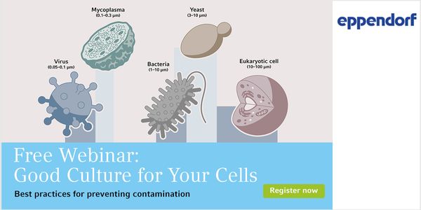 Good culture for your cells - Best practices for preventing contamination