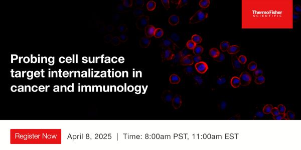 Probing cell surface target internalization in cancer and immunology
