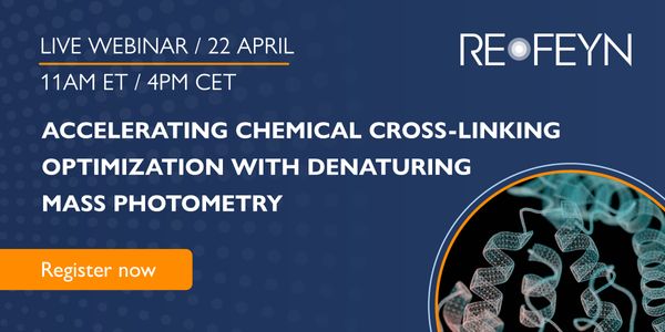 Accelerating Chemical Cross-Linking Optimization with Denaturing Mass Photometry