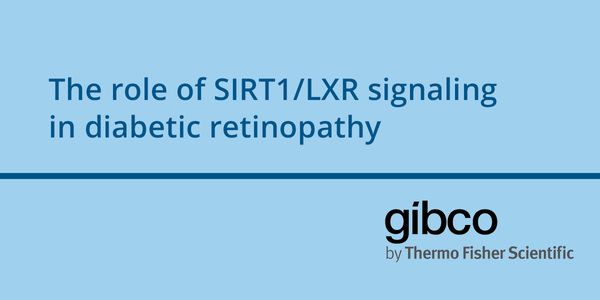 The role of SIRT1/LXR signaling in diabetic retinopathy