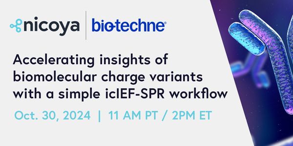 Accelerating insights into changes in binding affinity of biomolecular charge variants using a simple icIEF fractionation and SPR workflow