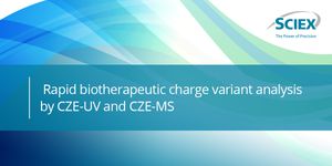 Rapid biotherapeutic charge variant analysis by CZE-UV and CZE-MS