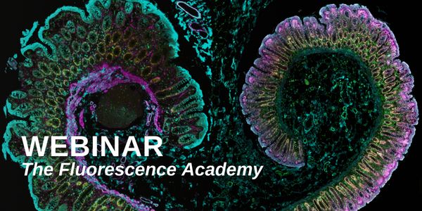 Accelerate and simplify spatial proteomics for translational research with the EVOS S1000 Spatial Imaging System