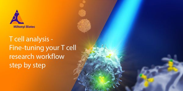T cell analysis - Fine-tuning your T cell research workflow step by step