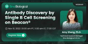 Antibody Discovery by Single B Cell Screening on Beacon®