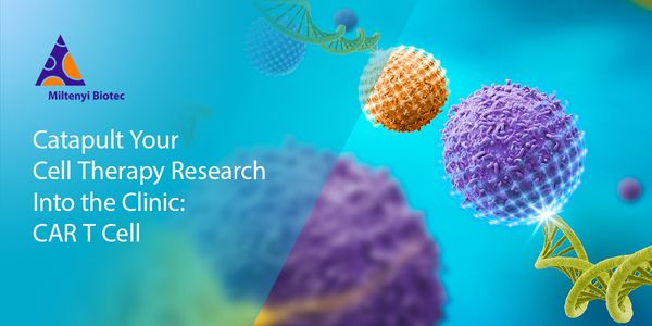 Catapult Your Cell Therapy Research Into the Clinic: CAR T Cell