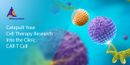 Catapult Your Cell Therapy Research Into the Clinic: CAR T Cell