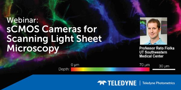 sCMOS Cameras For Scanning Light Sheet Microscopy