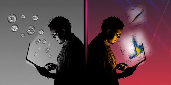 Integrating spatial resolution into flow cytometric analysis