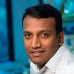 Isolation and characterization of exosomes and ectosomes