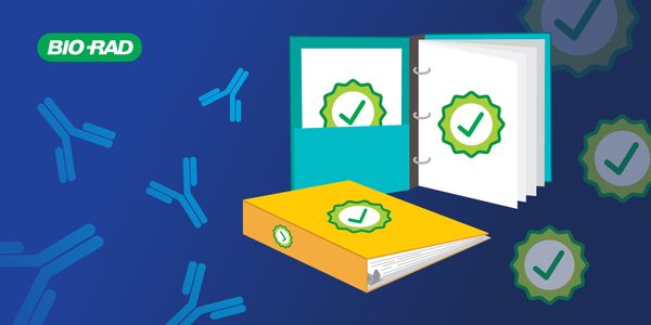 Strategies for Lot-to-Lot Evaluations of Autoantibody Serology Assays