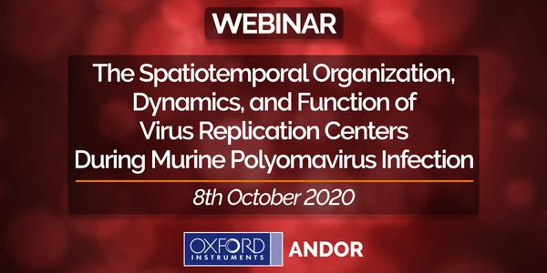 The Spatiotemporal Organization, Dynamics, and Function of Virus Replication Centers during Murine Polyomavirus Infection