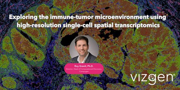 Exploring the immune-tumor microenvironment using high resolution single-cell spatial transcriptomics