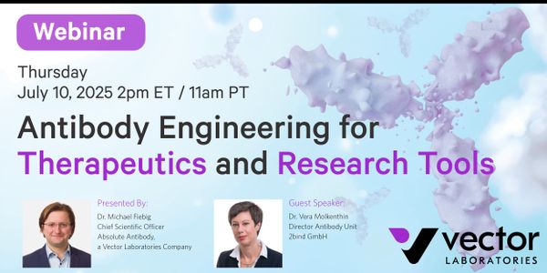 Antibody Engineering for Therapeutics and Research Tools