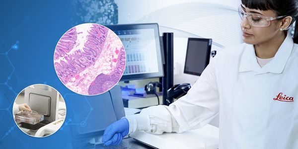 Lessons From The Laboratory: Optimizing Your Tissue Processing