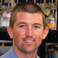 Multiplexed Precision Genome Editing with Trackable Genome-Integrated Barcodes in Yeast