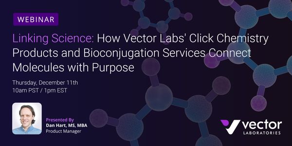 Linking Science: How Vector Labs' Click Chemistry Products & Bioconjugation Services Connect Molecules with Purpose