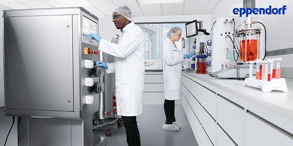 Cell Culture Bioprocess Scale-Up Workflow from Bench to Pilot/Production Scale using Single-Use Bioreactors