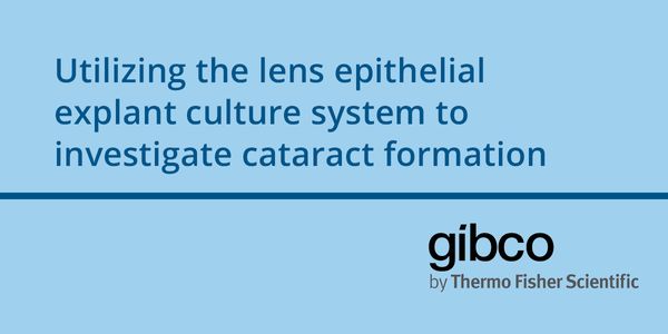 Utilizing the lens epithelial explant culture system to investigate cataract formation