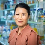 WEBINAR: Exosome miRNA sequencing for biomarker profiling using the Ion S5 System and Ion Total RNA-seq kit