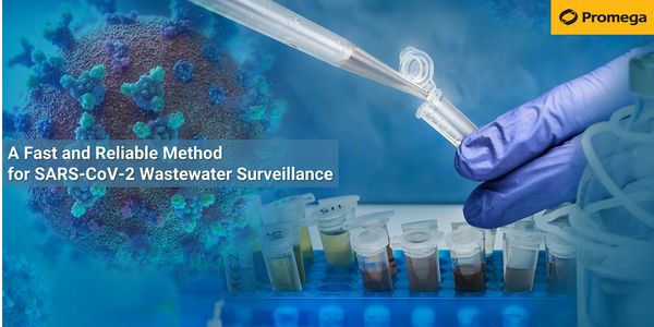 A Fast and Reliable Method for SARS-CoV-2 Wastewater Surveillance