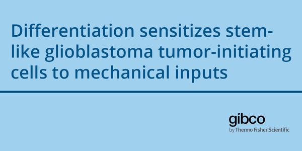 Differentiation sensitizes stem-like glioblastoma tumor-initiating cells to mechanical inputs