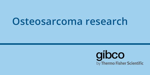 Osteosarcoma research